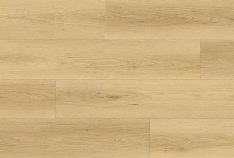 Close-up of pale oak flooring planks