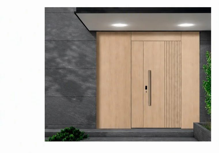 Aluminium entrance door design — illustrative finish